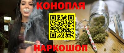 Альфа ПВП Краснознаменск