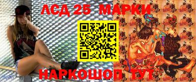 Альфа ПВП Краснознаменск