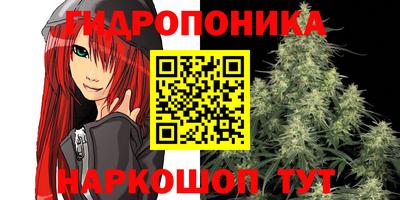 мдпв Краснодар