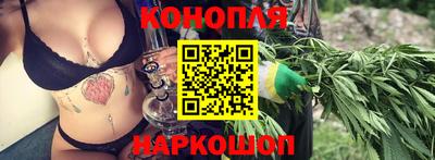 Альфа ПВП Краснознаменск